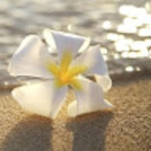 Meet your Posher, Localstyle